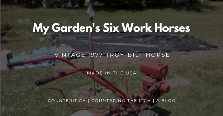 Garden at tilling using a 1977 Vintage Troy-Bilt Horse.