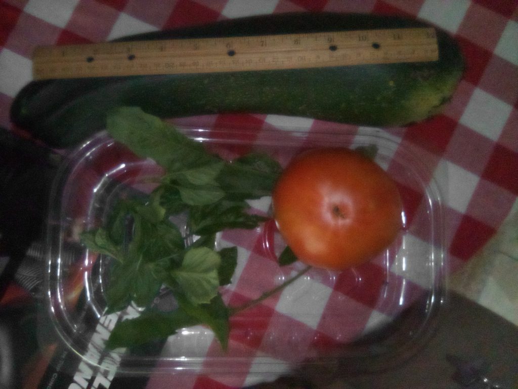 My Yuge Italian Zucchini, with herbs and a big tomato.