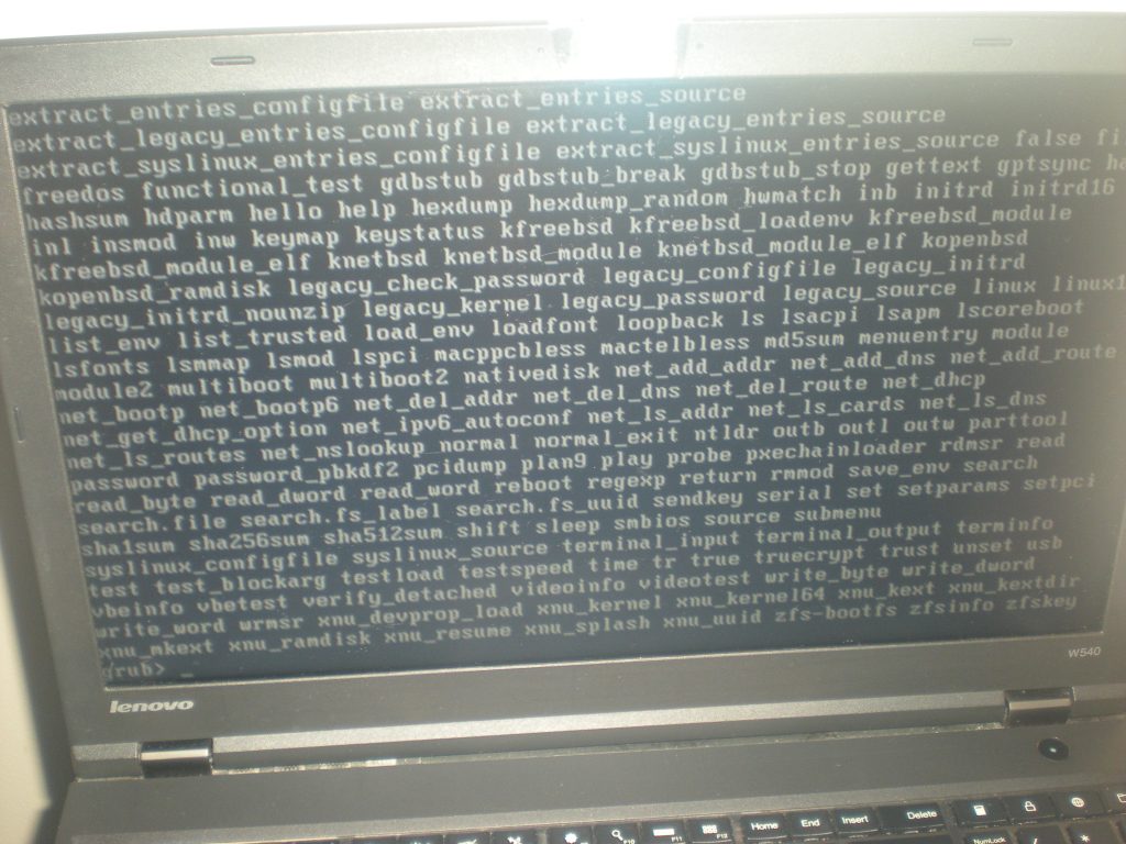 This is the grub command line on my 2014 ThinkPad W540 when the it wouldn't boot.