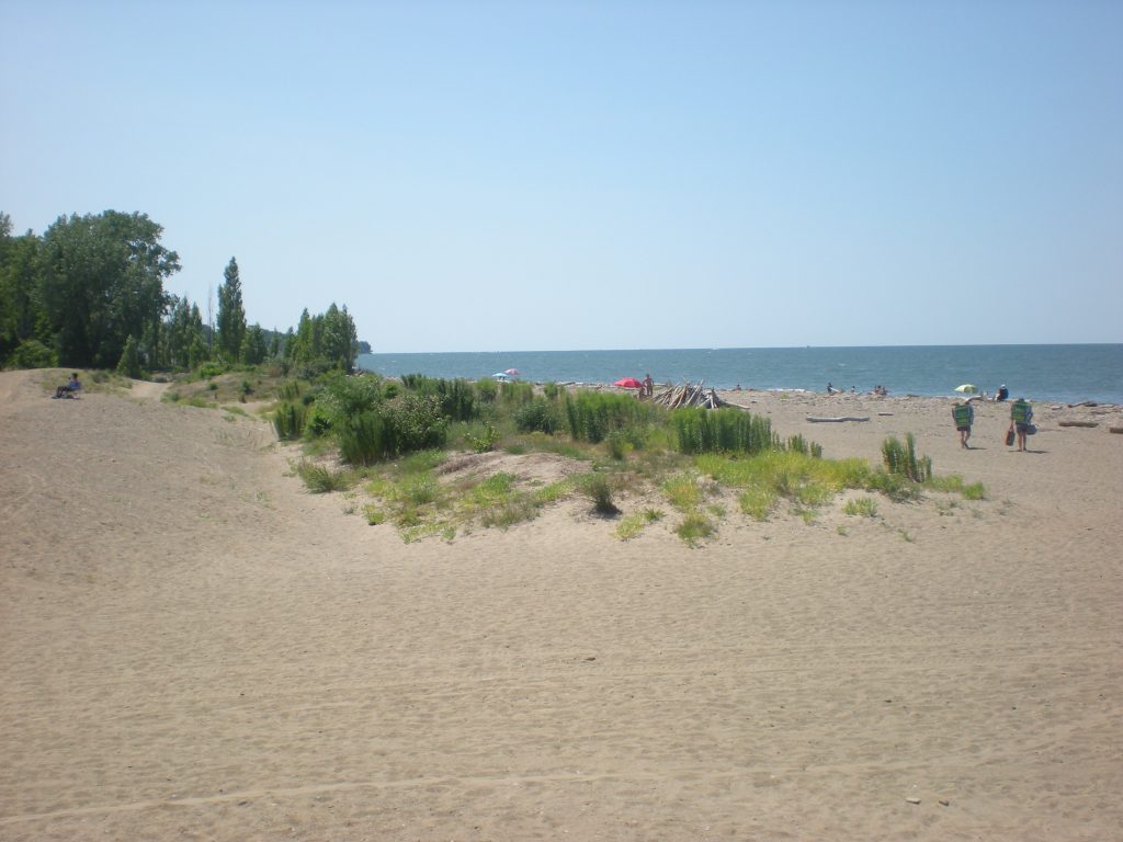 Headlands Beach State Park in Mentor, Ohio. West view on dune.