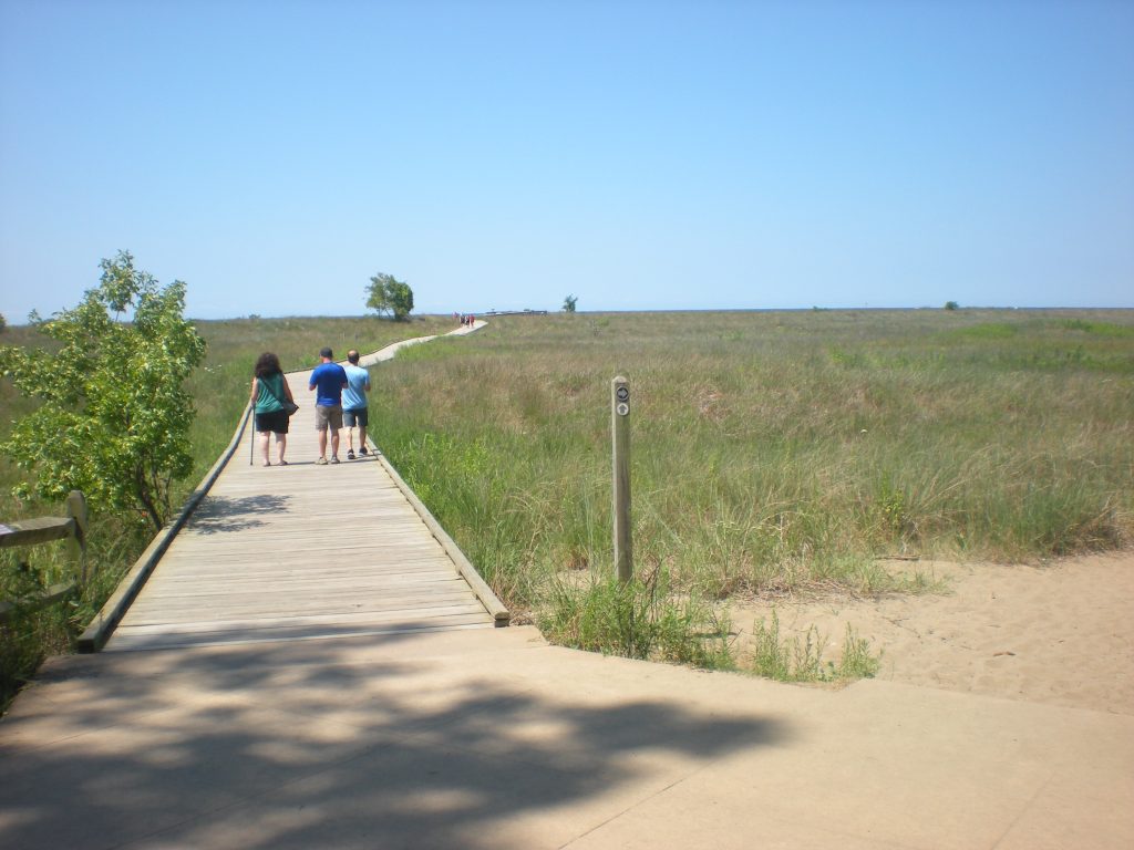 Headlands Beach Sand Dunes Board Walk