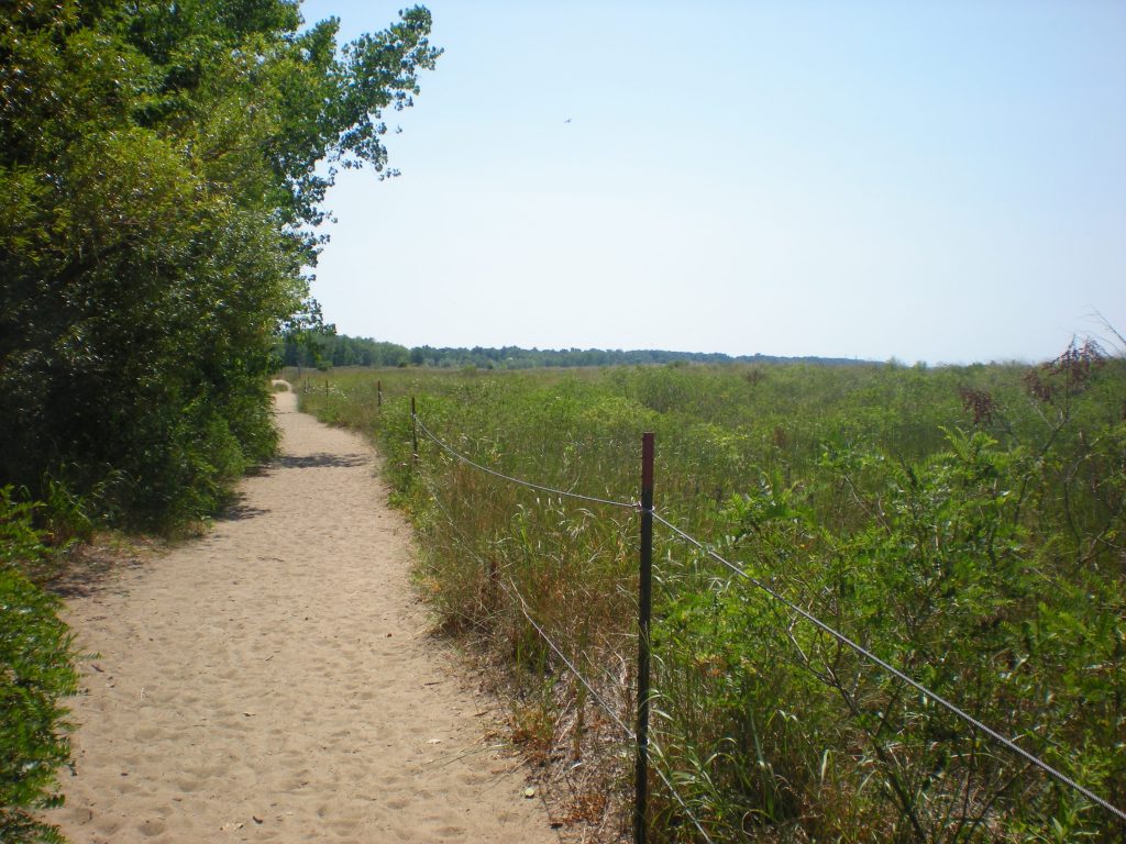 Headland Beach Sand Dunes Nature Preserve Trail