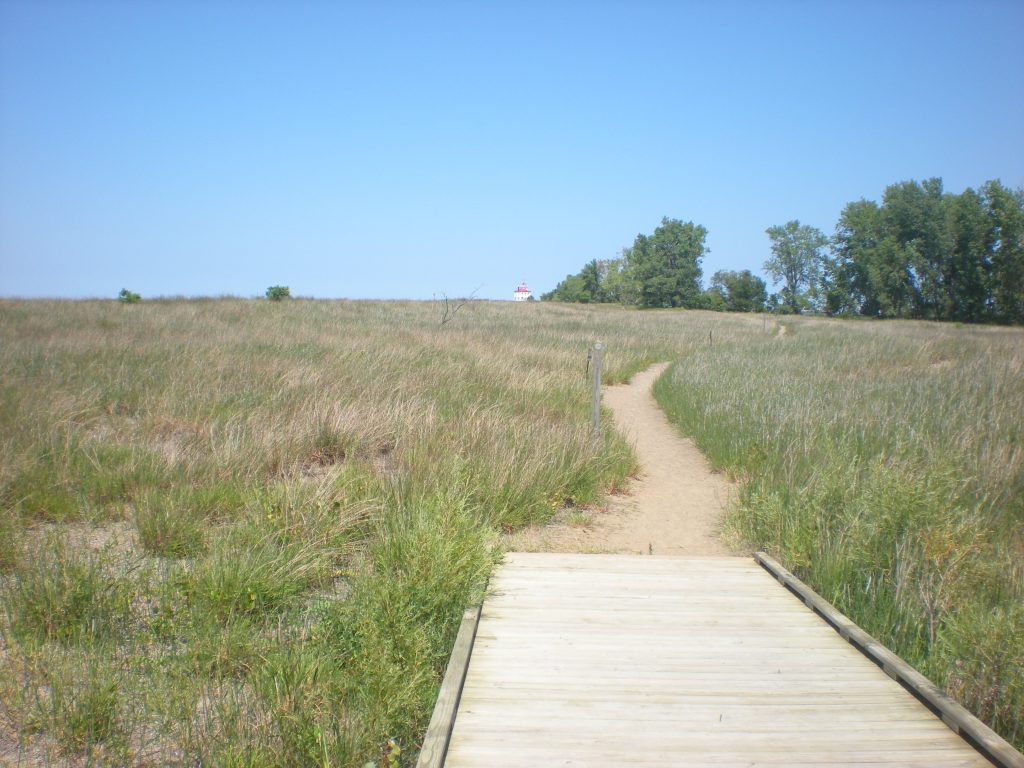 Headlands Beach Sand Dunes trail to lighthouse