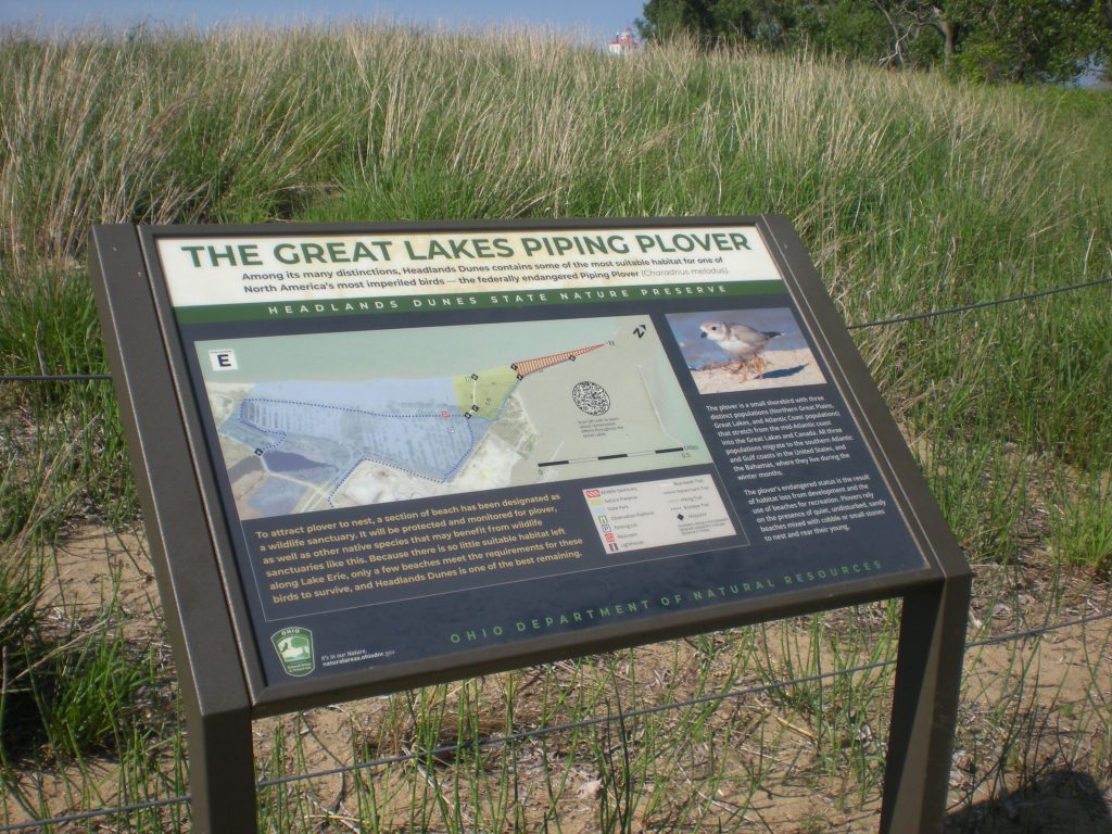 Sign in sand dunes at Headlands Beach about The Great Lakes Piping Plover.