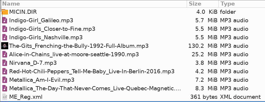 Exercise Music Playlist | June 2025 Image of exercise music playlist, June 2025. Includes Indigo Girls, The Gits, Alice in Chains, Red Hot Chili Peppers, and Metallica.