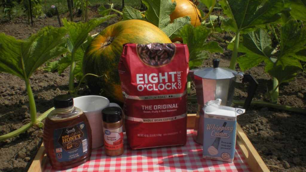 Pumpkins and Ingredients for Pumpkin Spice Latte Image of pumpkins in garden with ingredients to make pumpkin spice latte.