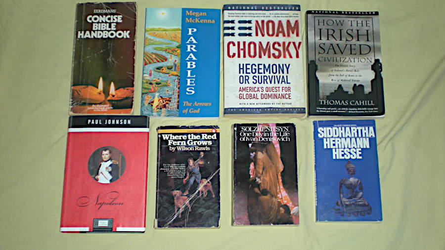 Eight more books from Menagerie at AWL in Niles, Ohio. October 2025.