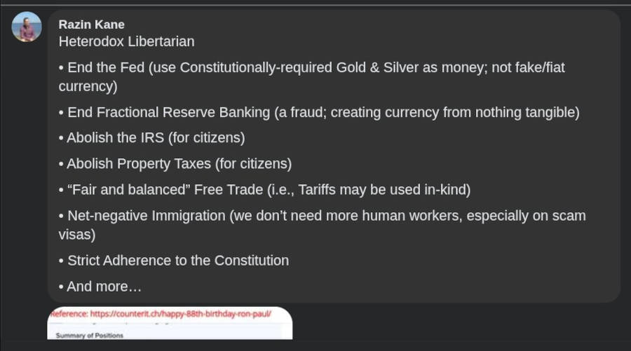Joey AF (America First)'s core Heterodox Libertarian positions.