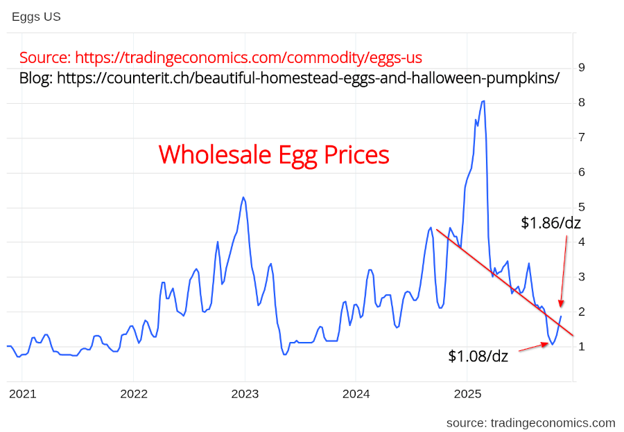 Chart: Wholesale Egg Prices | Trading Economics | 07 Nov. 2025.
