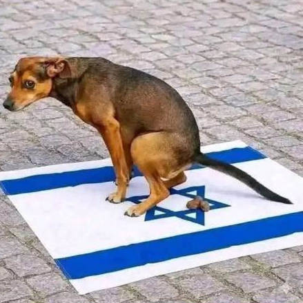 Dog dropping a poo-bomb on a six-pointed star.