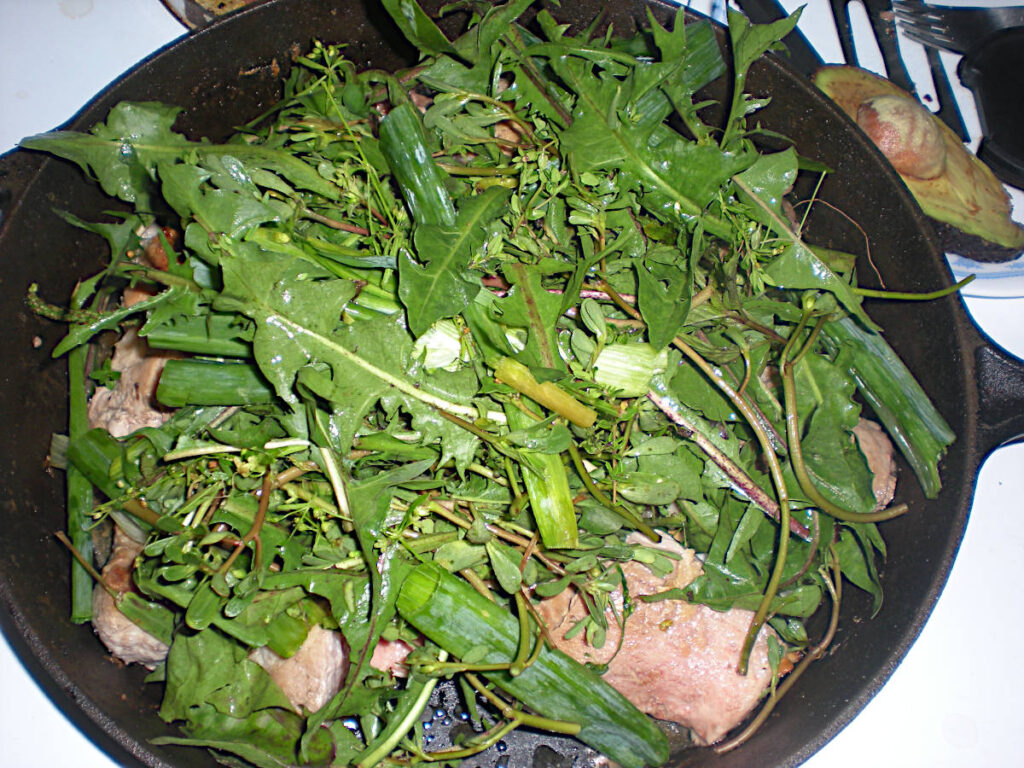 Pan Frying Meat and parasite-free Greens: dandelion, onions, purslane, and herbs