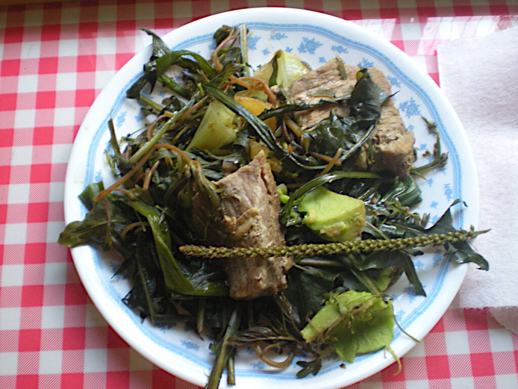 Meat & Greens Meal Served: dandelion, plantain, purslane, avocado, onions, herbs.